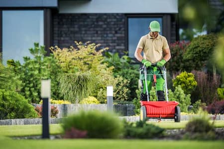 Lawn Fertilization For A Healthy Yard