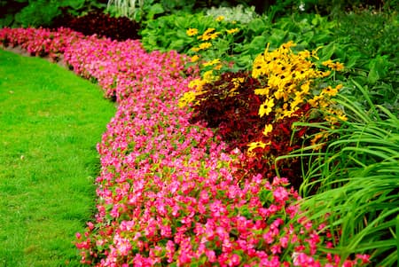 Yard Enhancing Flower Bed Maintenance